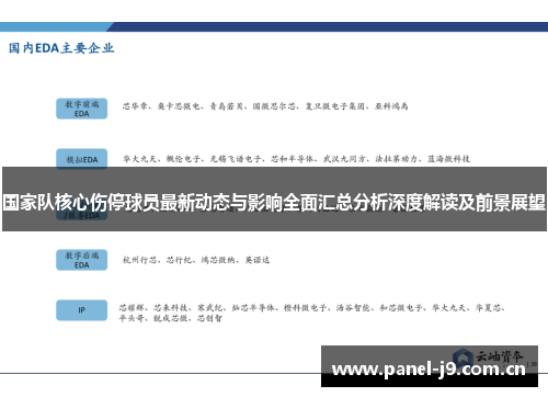 国家队核心伤停球员最新动态与影响全面汇总分析深度解读及前景展望 国家队核心伤停球员最新动态与影响全面汇总分析深度解读及前景展望